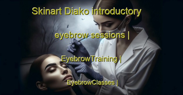 Skinart Diako introductory eyebrow sessions | EyebrowTraining | EyebrowClasses | SkinartTraining-Mali